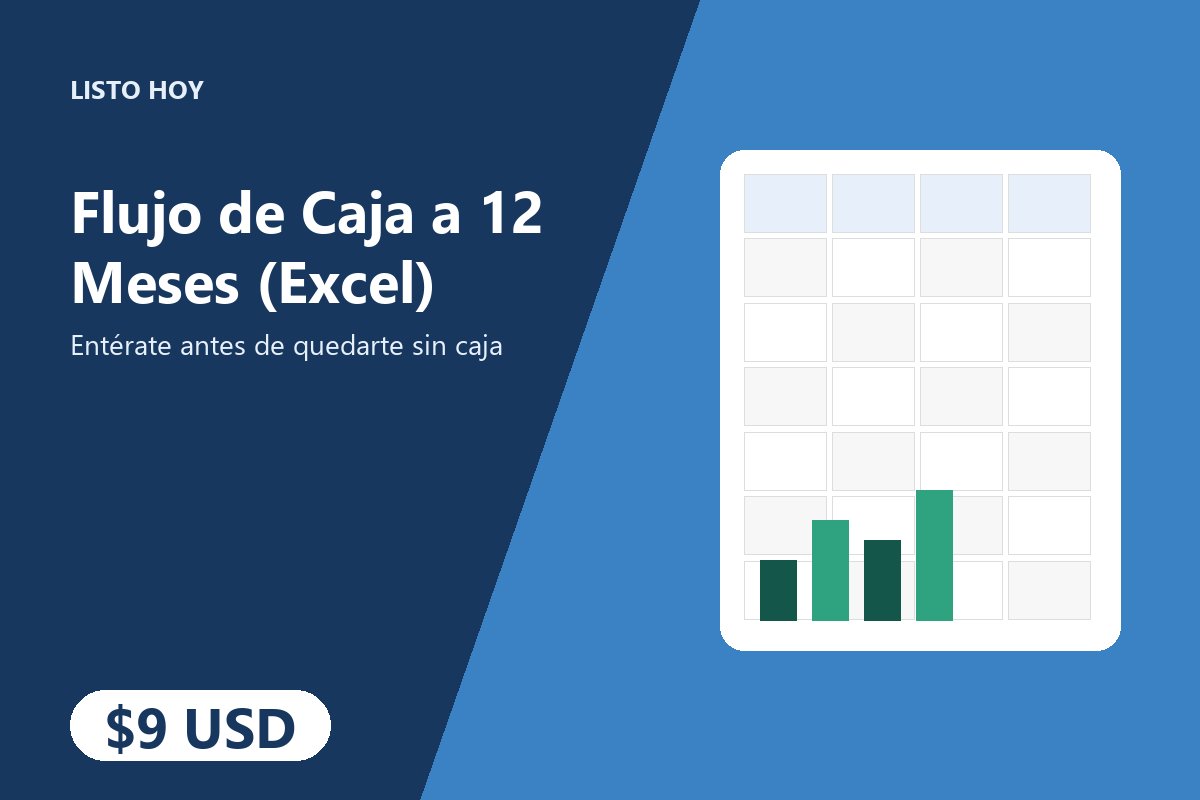 Flujo de Caja a 12 Meses (Excel)